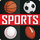 Sports Game